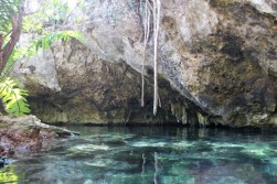 Things_To_Do_In_Tulum_Mexico_Grand_Cenote (9)