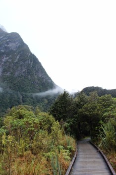 New Zealand Travel Blog 2 (73)